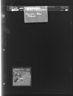 Flower Picture-Rose (1 Negative) (February 27, 1961) [Sleeve 67, Folder b, Box 26]